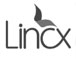 Frequência Seguros  |   Lincx